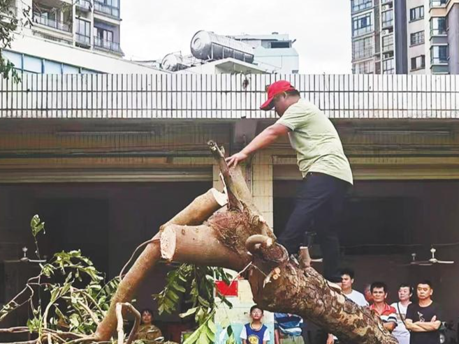 這位“萬能選手”有副熱心腸，“海口好人”王福棠奮戰在重建家園一線